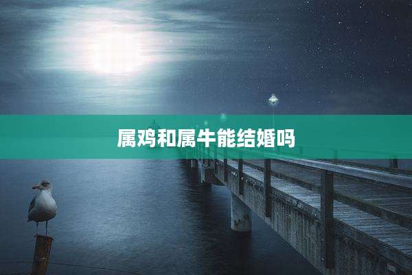 属鸡和属牛能结婚吗