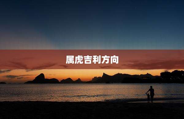 属虎吉利方向