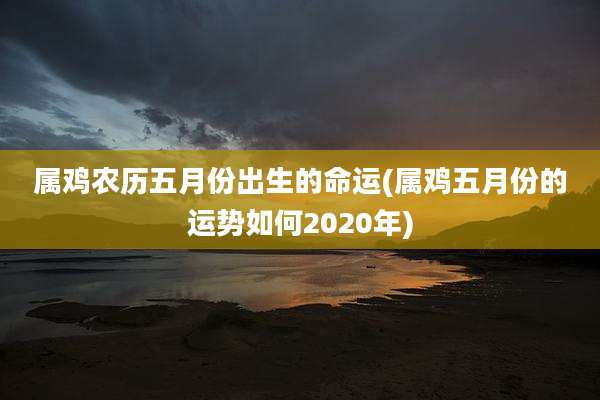 属鸡农历五月份出生的命运(属鸡五月份的运势如何2020年)