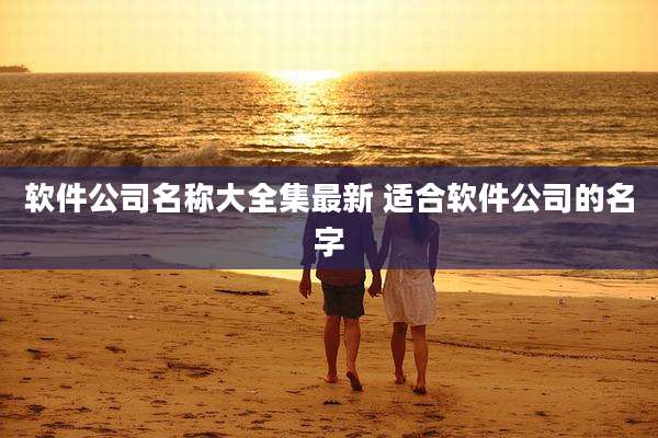 软件公司名称大全集最新 适合软件公司的名字