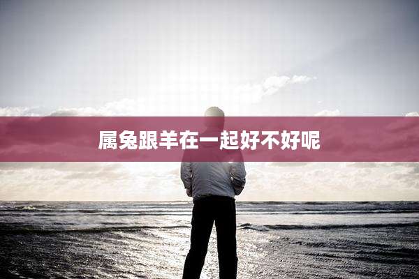 属兔跟羊在一起好不好呢