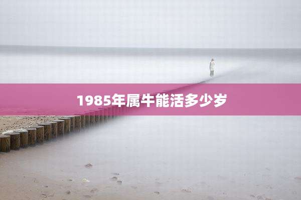 1985年属牛能活多少岁