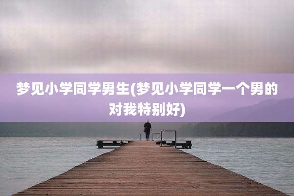 梦见小学同学男生(梦见小学同学一个男的对我特别好)