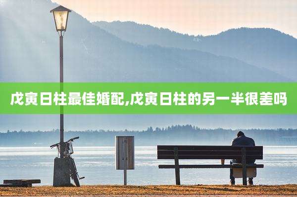 戊寅日柱最佳婚配,戊寅日柱的另一半很差吗