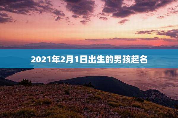 2021年2月1日出生的男孩起名