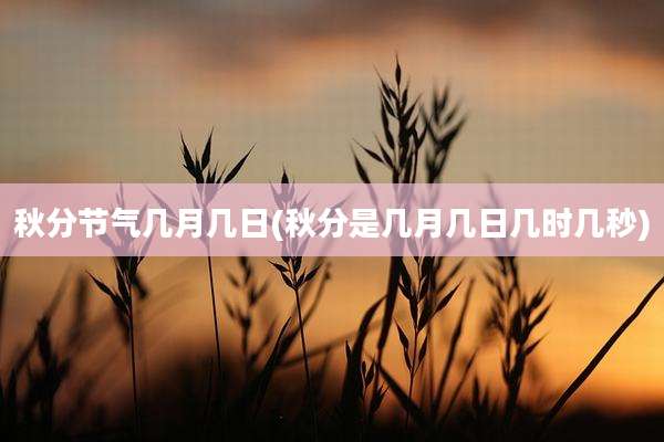 秋分节气几月几日(秋分是几月几日几时几秒)