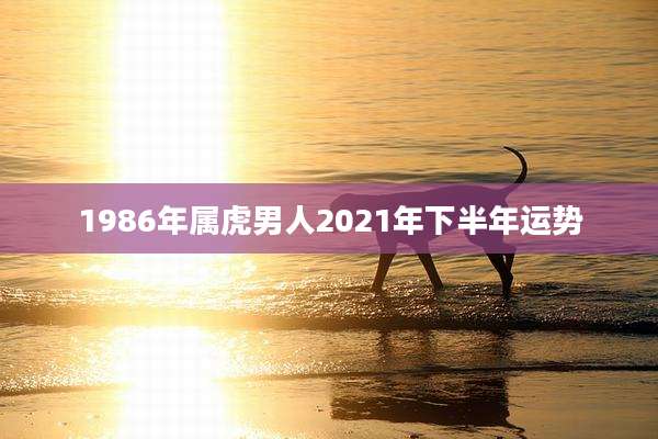 1986年属虎男人2021年下半年运势