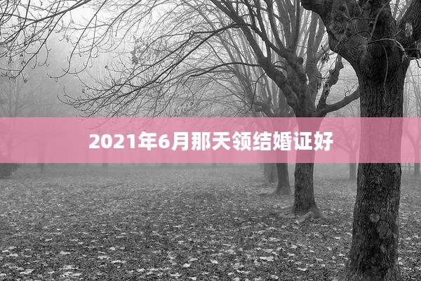 2021年6月那天领结婚证好