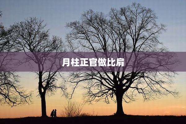 月柱正官做比肩