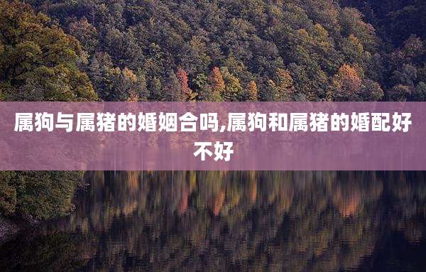 属狗与属猪的婚姻合吗,属狗和属猪的婚配好不好