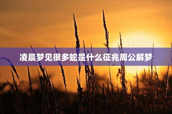 凌晨梦见很多蛇是什么征兆周公解梦