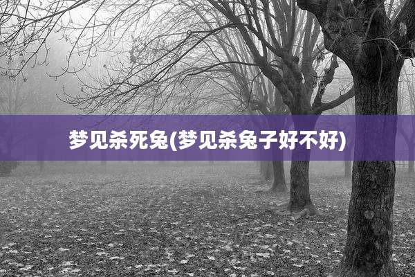 梦见杀死兔(梦见杀兔子好不好)