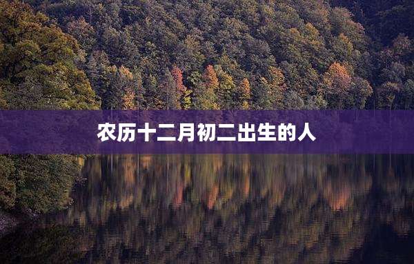 农历十二月初二出生的人