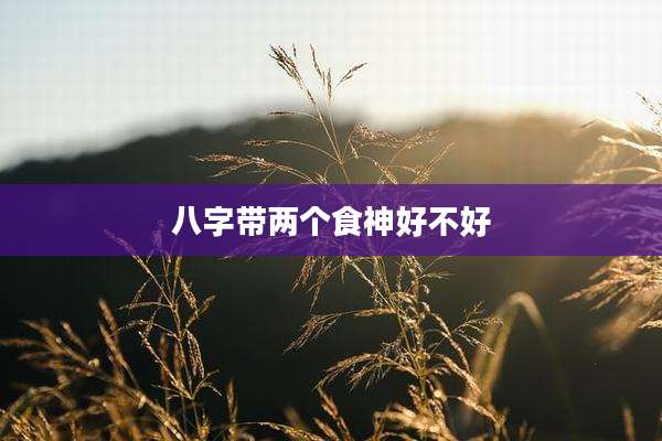 八字带两个食神好不好