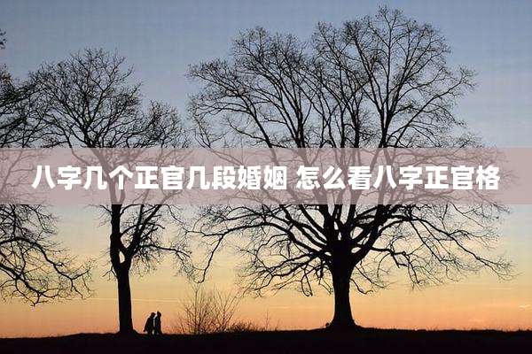 八字几个正官几段婚姻 怎么看八字正官格
