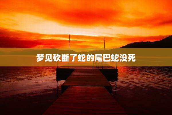 梦见砍断了蛇的尾巴蛇没死