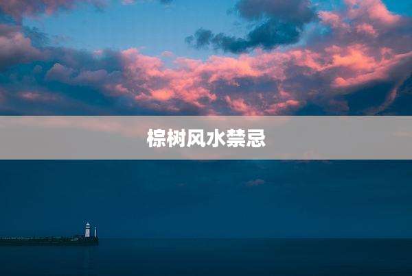 棕树风水禁忌