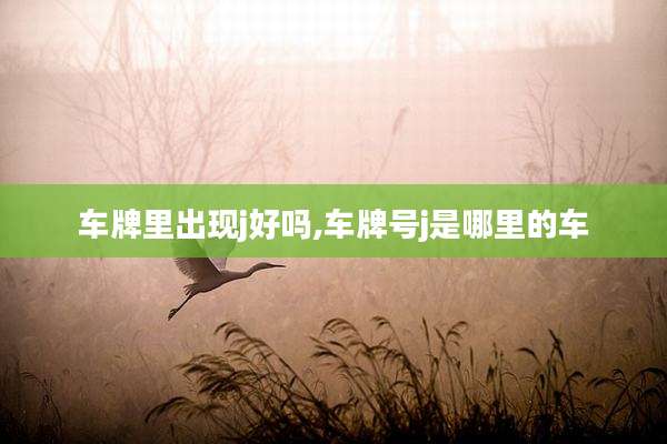车牌里出现j好吗,车牌号j是哪里的车