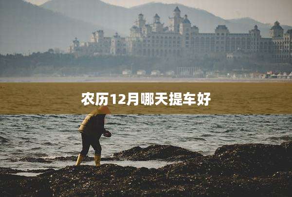农历12月哪天提车好