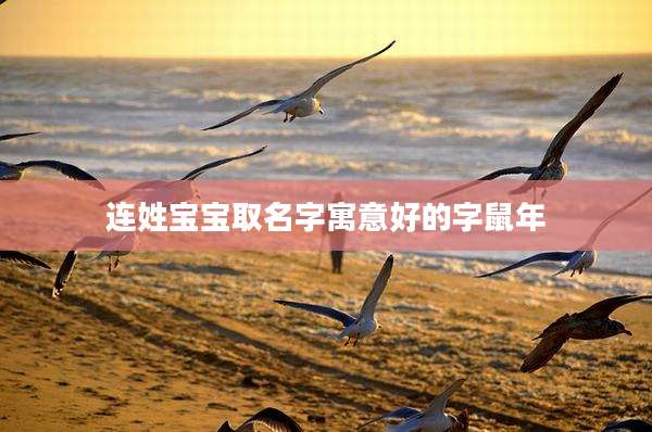 连姓宝宝取名字寓意好的字鼠年