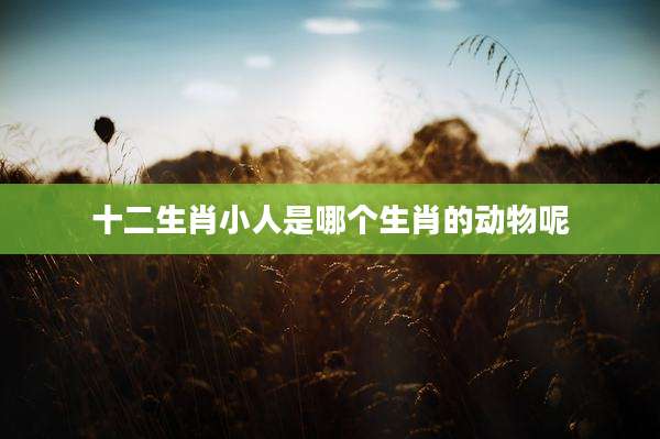 十二生肖小人是哪个生肖的动物呢