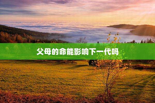 父母的命能影响下一代吗