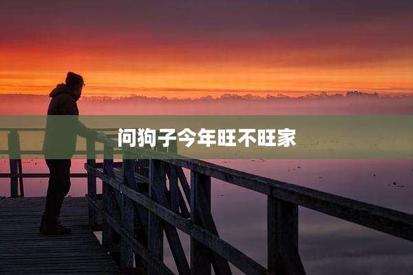 问狗子今年旺不旺家