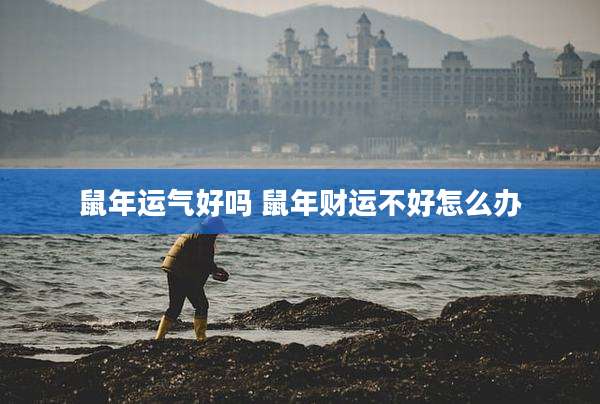 鼠年运气好吗 鼠年财运不好怎么办
