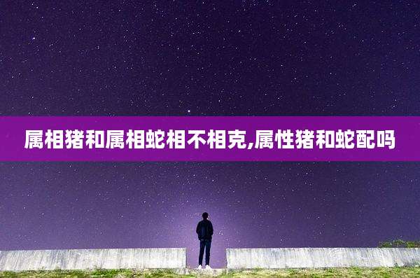 属相猪和属相蛇相不相克,属性猪和蛇配吗