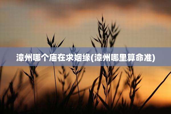 漳州哪个庙在求姻缘(漳州哪里算命准)