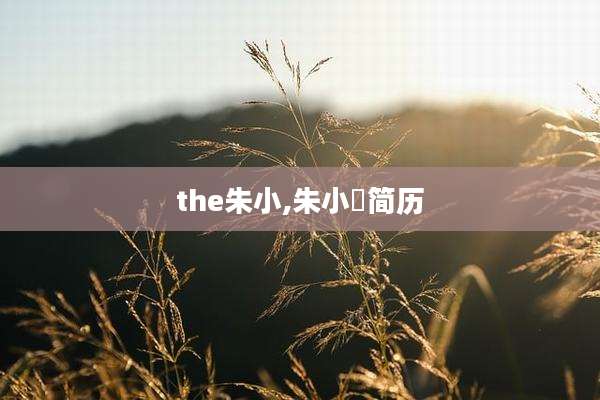 the朱小,朱小燚简历
