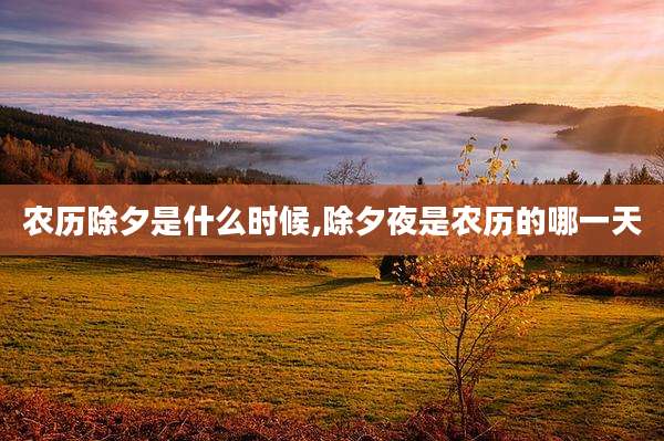 农历除夕是什么时候,除夕夜是农历的哪一天