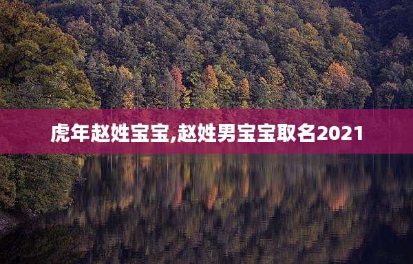虎年赵姓宝宝,赵姓男宝宝取名2021