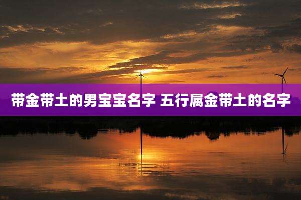 带金带土的男宝宝名字 五行属金带土的名字