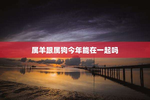属羊跟属狗今年能在一起吗