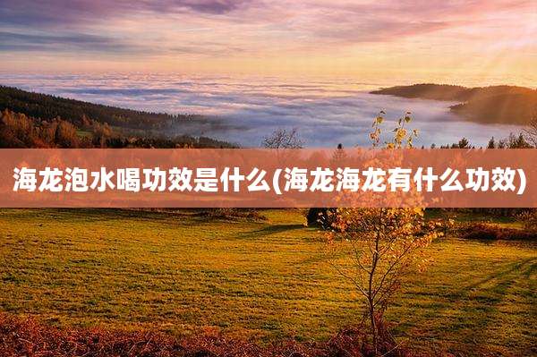 海龙泡水喝功效是什么(海龙海龙有什么功效)