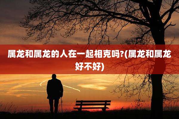 属龙和属龙的人在一起相克吗?(属龙和属龙好不好)