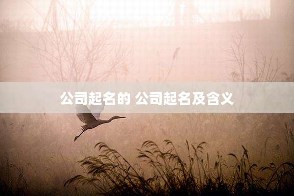 公司起名的 公司起名及含义