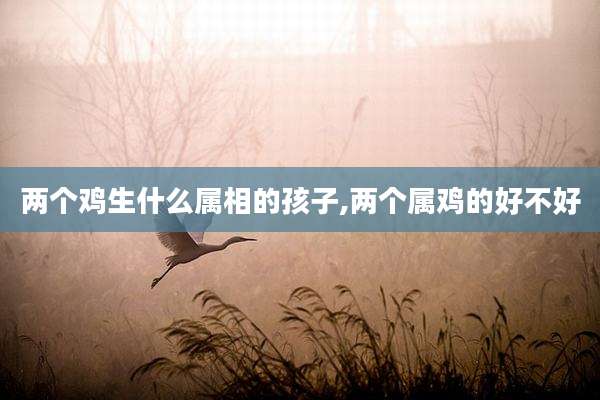 两个鸡生什么属相的孩子,两个属鸡的好不好