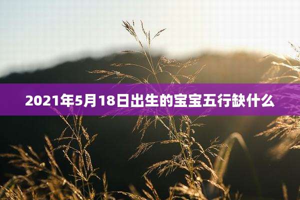 2021年5月18日出生的宝宝五行缺什么