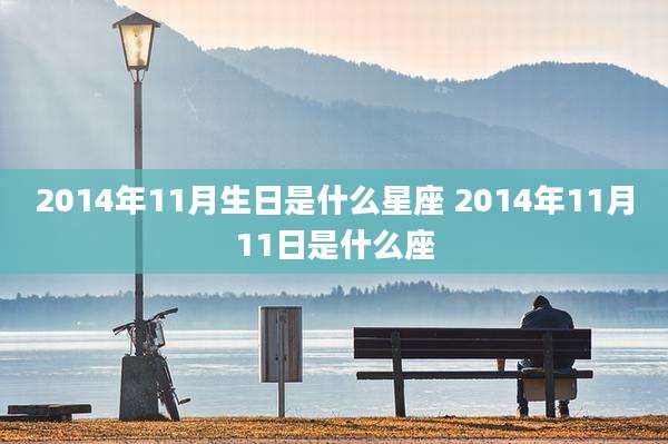 2014年11月生日是什么星座 2014年11月11日是什么座