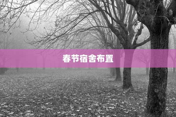 春节宿舍布置