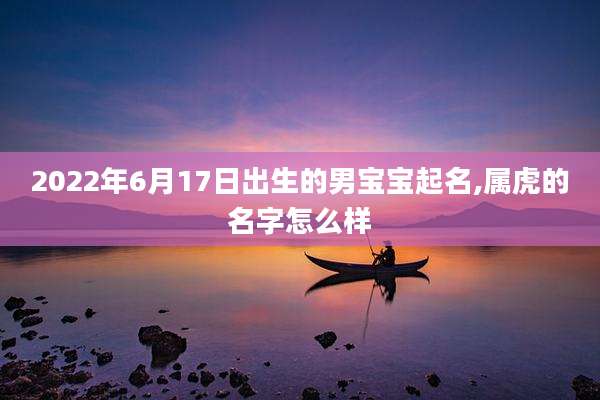 2022年6月17日出生的男宝宝起名,属虎的名字怎么样