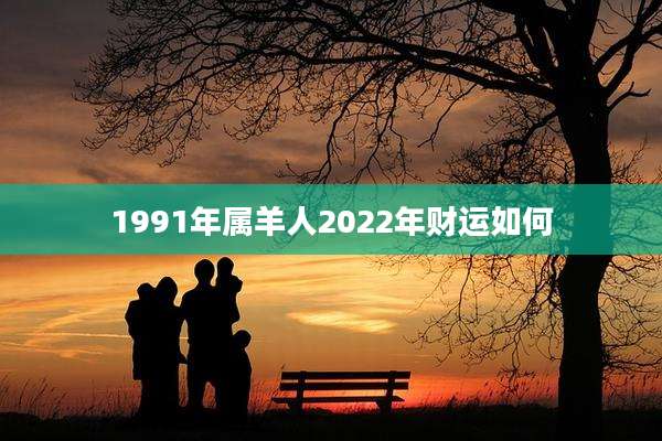 1991年属羊人2022年财运如何