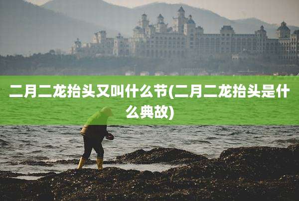 二月二龙抬头又叫什么节(二月二龙抬头是什么典故)