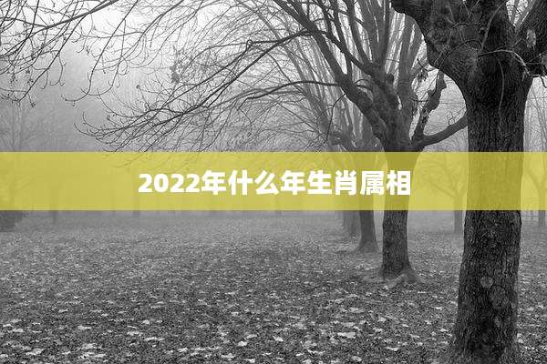 2022年什么年生肖属相