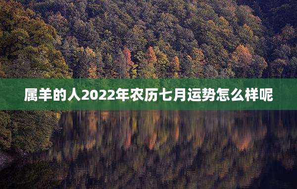 属羊的人2022年农历七月运势怎么样呢