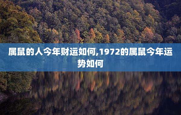属鼠的人今年财运如何,1972的属鼠今年运势如何