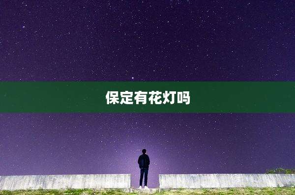 保定有花灯吗