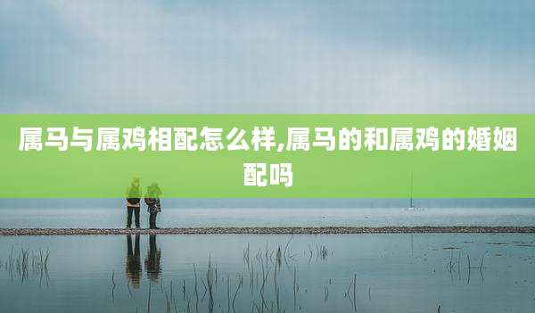 属马与属鸡相配怎么样,属马的和属鸡的婚姻配吗